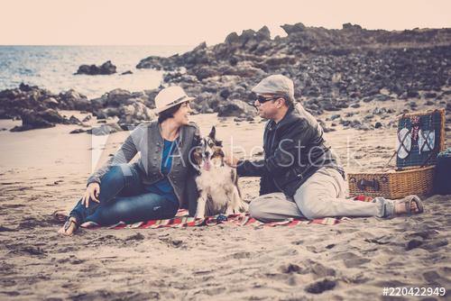 GREAT WAYS TO EXERCISE WITH YOUR DOG - Petie Accessories Store